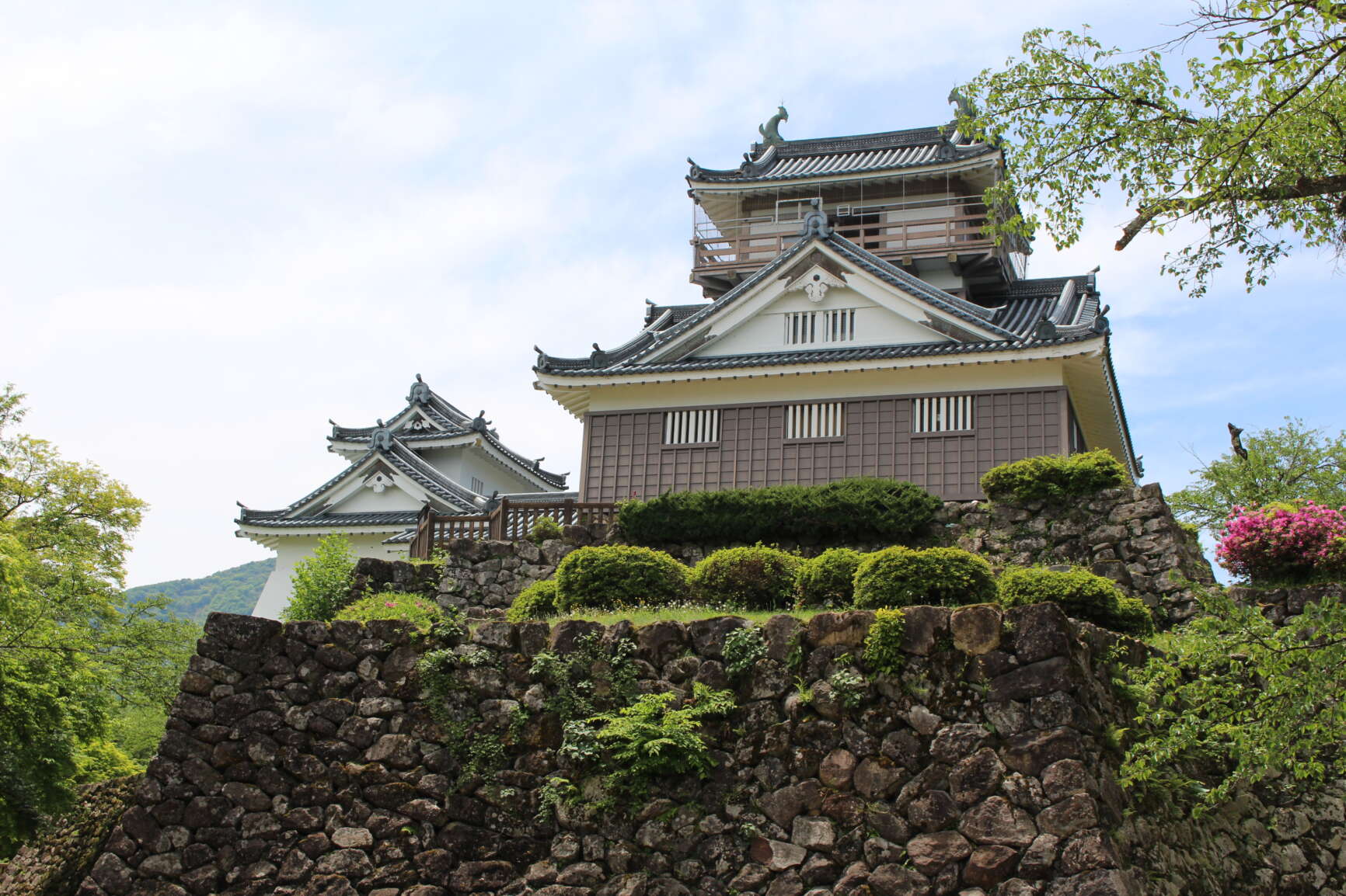 越前大野城の駐車場や見どころ 天守閣 石垣など を紹介 やっちんのお城ブログ